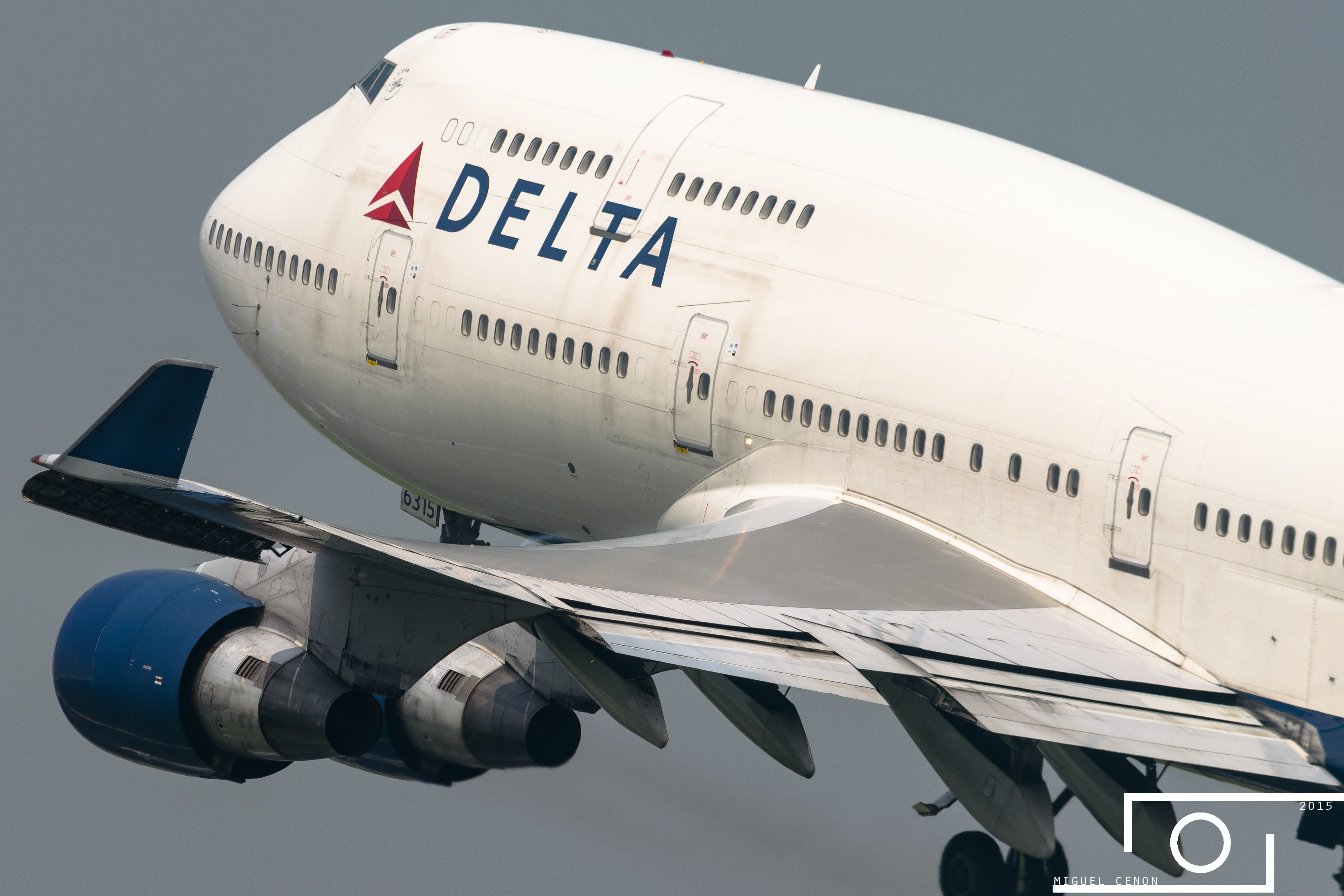 Delta Air Lines Inc | immigrant.com.tw