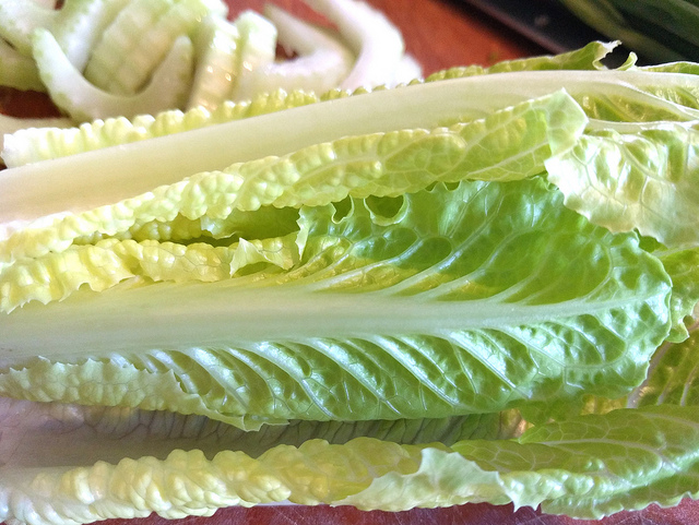 romaine lettuce recall
